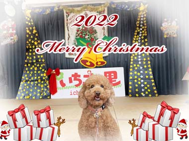 2023年12月23日(金)クリスマス会