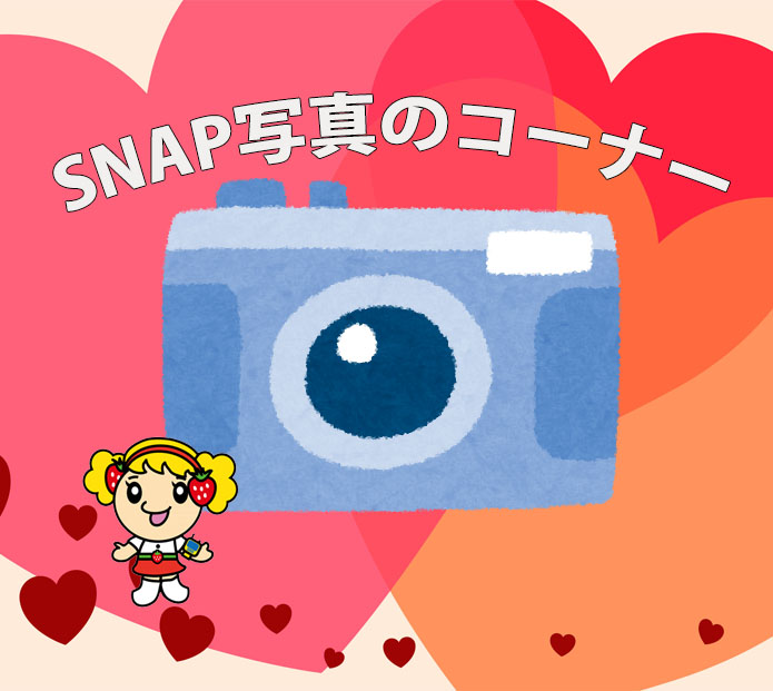 ＳＮＡＰ写真